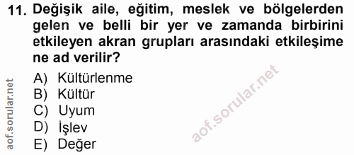 11. soru: Değişik aile, eğitim, meslek ve bölgelerden gelen ve belli bir yer ve zamanda birbirini etkileyen akran grupları aras…