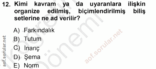 12. soru: Kimi kavram ya da uyaranlara ilişkin organize edilmiş, biçimlendirilmiş biliş setlerine ne ad verilir? A) Farkındalık…
