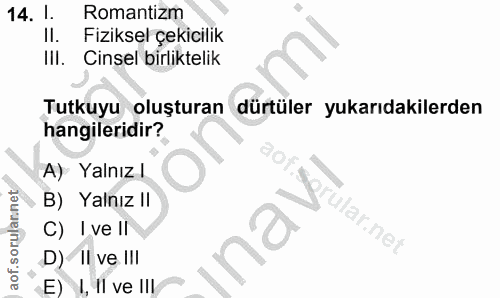 14. soru: I. Romantizm Il. Fiziksel çekicilik III. Cinsel birliktelik Tutkuyu oluşturan dürtüler yukarıdakilerden hangileridir?…