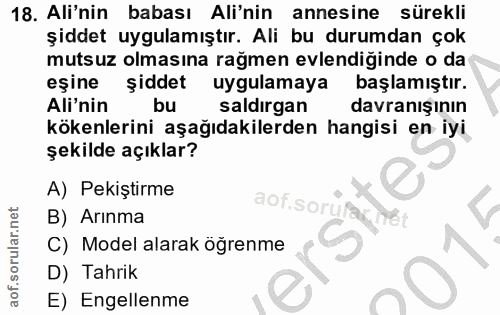 18. soru: Ali'nin babası Ali'nin annesine sürekli şiddet uygulamıştır. Ali bu durumdan çok mutsuz olmasına rağmen evlendiginde…