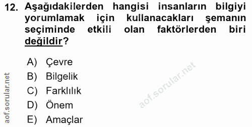 12. soru: Aşağıdakilerden hangisi insanların bilgiyi yorumlamak için kullanacakları şemanın seçiminde etkili olan faktörlerden…