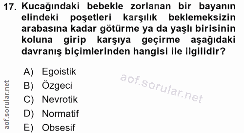 17. soru: Kucağındaki bebekle zorlanan bir bayanın elindeki poşetleri karşılık beklemeksizin arabasına kadar götürme ya da yaşl…