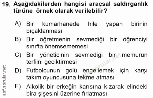 19. soru: Aşağıdakilerden hangisi araçsal saldırganlık türüne örnek olarak verilebilir? A) Bir kumarhanede hile yapan birinin b…