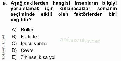 9. soru: Aşağıdakilerden hangisi insanların bilgiyi yorumlamak için kullanacakları şemanın seçiminde etkili olan faktörlerden…