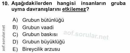 10. soru: Aşağıdakilerden hangisi insanların gruba uyma davranışlarını etkilemez? A) Grubun bütünlüğü B) Grubun vaadi C) Grubun…