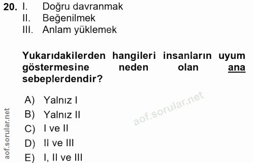 20. soru: 1. Doğru davranmak II. Beğenilmek IlI. Anlam yüklemek Yukarıdakilerden hangileri insanların uyum göstermesine neden o…