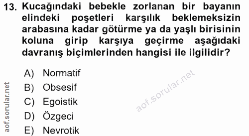 13. soru: Kucağındaki bebekle zorlanan bir bayanın elindeki poşetleri karşılık beklemeksizin arabasına kadar götürme ya da yaşl…