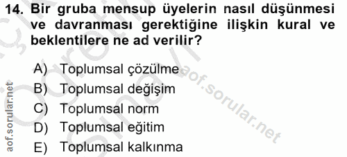 14. soru: Bir gruba mensup üyelerin nasıl düşünmesi ve davranması gerektiğine ilişkin kural ve beklentilere ne ad verilir? A) T…