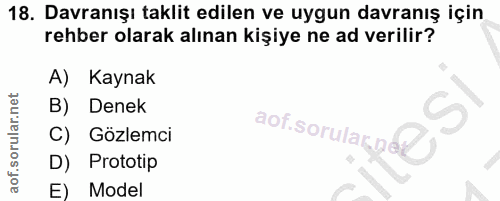 18. soru: Davranışı taklit edilen ve uygun davranış için rehber olarak alınan kişiye ne ad verilir? A) Kaynak B) Denek solsorul…