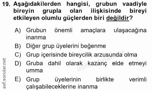 19. soru: Aşağıdakilerden hangisi, grubun vaadiyle bireyin grupla olan ilişkisinde bireyi etkileyen olumlu güçlerden biri değil…