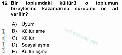16. soru: Bir toplumdaki kültürü, o toplumun bireylerine kazandırma sürecine ne ad verilir? A) Uyum B) Kültürleme C) Kültür D)…