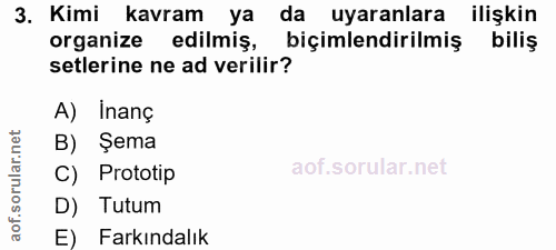 3. soru: Kimi kavram ya da uyaranlara ilişkin organize edilmiş, biçimlendirilmiş biliş setlerine ne ad verilir? A) Inanç B) Şe…