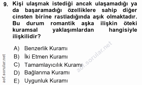 9. soru: Kişi ulaşmak istediği ancak ulaşamadığı ya da başaramadığı özelliklere sahip diğer cinsten birine rastladığında aşık…