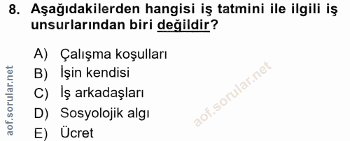 8. soru: Aşağıdakilerden hangisi iş tatmini ile ilgili iş unsurlarından biri değildir? A) Çalışma koşulları B) İşin kendisi C)…