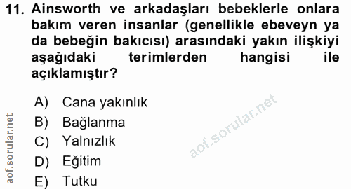 11. soru: Ainsworth ve arkadaşları bebeklerle onlara bakım veren insanlar (genellikle ebeveyn ya da bebeğin bakıcısı) arasındak…