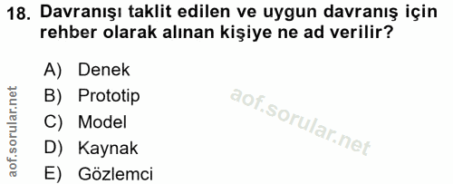 18. soru: Davranışı taklit edilen ve uygun davranış için rehber olarak alınan kişiye ne ad verilir? A) Denek B) Prototip C) Mod…