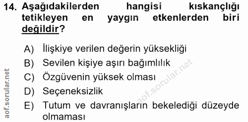14. soru: Aşağıdakilerden hangisi kıskançlığı tetikleyen en yaygın etkenlerden biri değildir? A) Ilişkiye verilen değerin yükse…