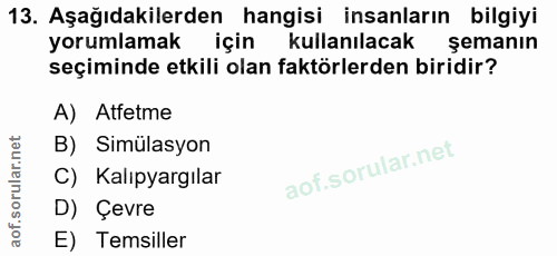 13. soru: Aşağıdakilerden hangisi insanların bilgiyi yorumlamak için kullanılacak şemanın seçiminde etkili olan faktörlerden bi…