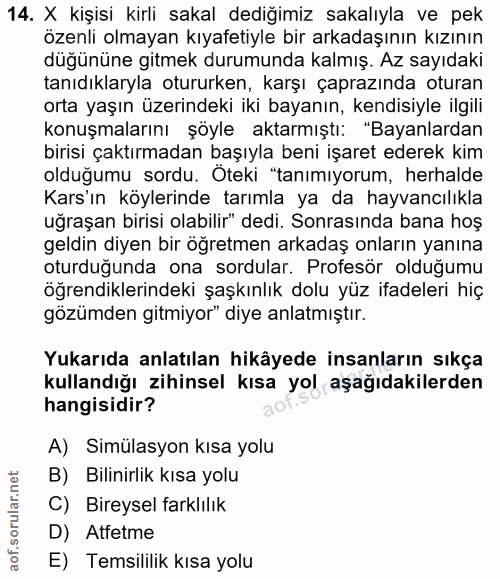 14. soru: X kişisi kirli sakal dediğimiz sakalıyla ve pek özenli olmayan kıyafetiyle bir arkadaşının kızının düğününe gitmek du…