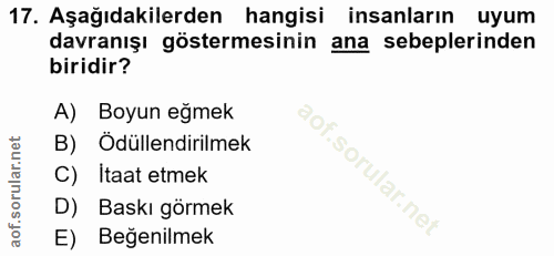 17. soru: Aşağıdakilerden hangisi insanların uyum davranışı göstermesinin ana sebeplerinden biridir? A) Boyun eğmek B) Ödüllend…