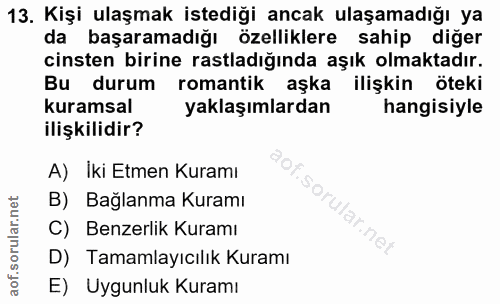 13. soru: Kişi ulaşmak istediği ancak ulaşamadığı ya da başaramadığı özelliklere sahip diğer cinsten birine rastladığında aşık…