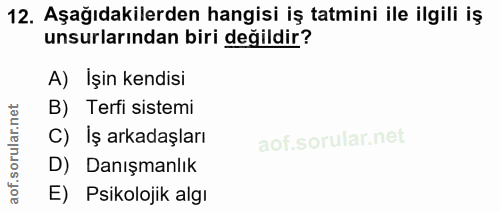 12. soru: Aşağıdakilerden hangisi iş tatmini ile ilgili iş unsurlarından biri değildir? A) Işin kendisi B) Terfi sistemi C) Iş…