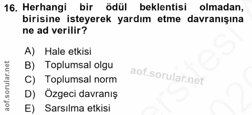 16. soru: Herhangi bir ödül beklentisi olmadan, birisine isteyerek yardım etme davranışına ne ad verilir? A) Hale etkisi B) Top…