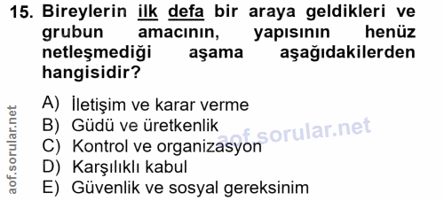 15. soru: Bireylerin ilk defa bir araya geldikleri ve grubun amacının, yapısının henüz netleşmediği aşama aşağıdakilerden hangi…