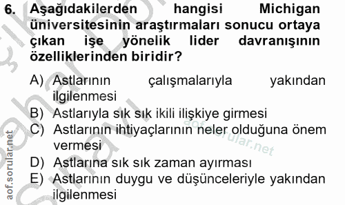 6. soru: Aşağıdakilerden hangisi Michigan üniversitesinin araştırmaları sonucu ortaya çıkan işe yönelik lider davranışının öze…
