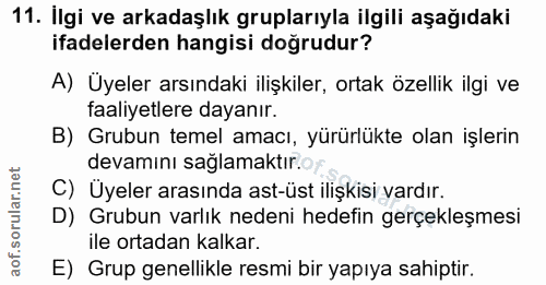 11. soru: İlgi ve arkadaşlık gruplarıyla ilgili aşağıdaki ifadelerden hangisi doğrudur? A) Üyeler arsındaki ilişkiler, ortak öz…