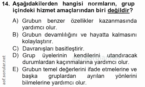 14. soru: Aşağıdakilerden hangisi normların, grup içindeki hizmet amaçlarından biri değildir? A) Grubun benzer özellikler kazan…