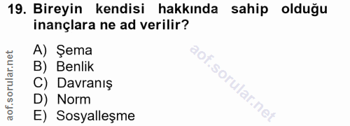 19. soru: Bireyin kendisi hakkında sahip olduğu inançlara ne ad verilir? A) Şema B) Benlik C) Davranış D) Norm E) Sosyalleşme