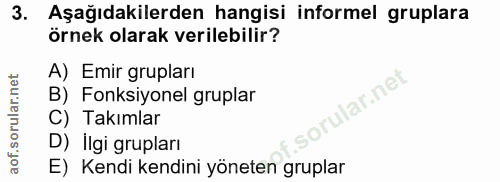 3. soru: Aşağıdakilerden hangisi informel gruplara örnek olarak verilebilir? A) Emir grupları B) Fonksiyonel gruplar ular.net)…