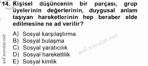 14. soru: Kişisel düşüncenin bir parçası, grup üyelerinin değerlerinin, duygusal anlam taşıyan hareketlerinin hep beraber elde…