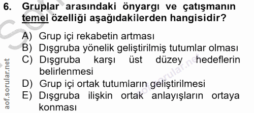 6. soru: Gruplar arasındaki önyargı ve çatışmanın temel özelliği aşağıdakilerden hangisidir? A) Grup içi rekabetin artması B)…