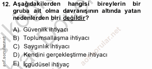 12. soru: Aşağıdakilerden • hangisi bireylerin bir gruba ait olma davranışının altında yatan nedenlerden biri değildir? A) Güve…