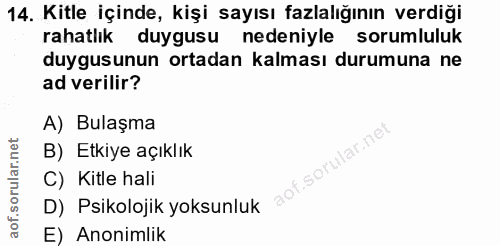 14. soru: Kitle içinde, kişi sayısı fazlalığının verdiği rahatlık duygusu nedeniyle sorumluluk duygusunun ortadan kalması durum…