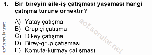 1. soru: Bir bireyin aile-iş çatışması yaşaması hangi çatışma türüne örnektir? A) Yatay çatışma B) Grupiçi çatışma C) Dikey ça…