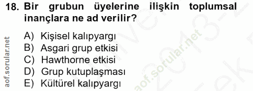 18. soru: Bir grubun üyelerine ilişkin toplumsal inançlara ne ad verilir? A) Kişisel kalıpyargı B) Asgari grup etkisi C) Hawtho…