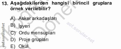 13. soru: Aşağıdakilerden hangisi birincil gruplara örnek verilebilir? A) Asker arkadaşları B) İşyeri aofi C) Ordu mensupları D…