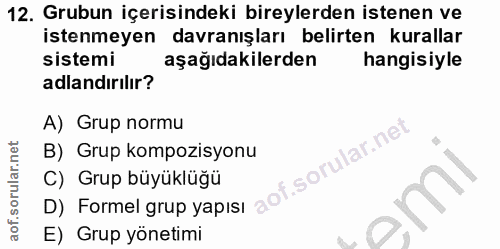12. soru: Grubun içerisindeki bireylerden istenen ve istenmeyen davranışları belirten kurallar sistemi aşağıdakilerden hangisiy…