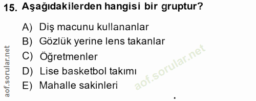 15. soru: Aşağıdakilerden hangisi bir gruptur? A) Diş macunu kullananlar B) Gözlük yerine lens takanlar C) Öğretmenler D) Lise…