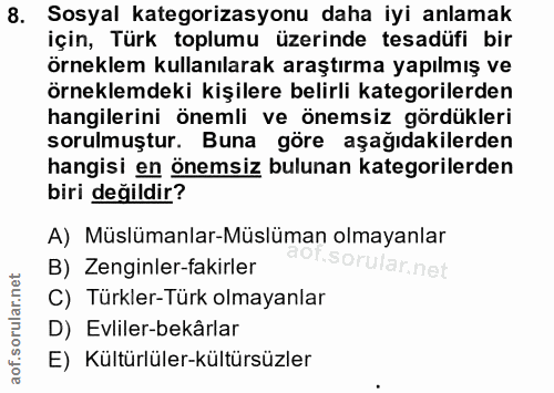 8. soru: Sosyal kategorizasyonu daha iyi anlamak için, Türk toplumu üzerinde tesadüfi bir örneklem kullanılarak araştırma yapı…