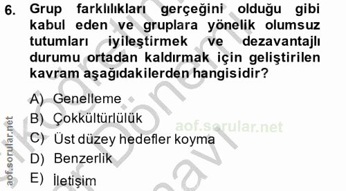 6. soru: Grup farklılıkları gerçeğini olduğu gibi kabul eden ve gruplara yönelik olumsuz tutumları iyileştirmek ve dezavantajl…