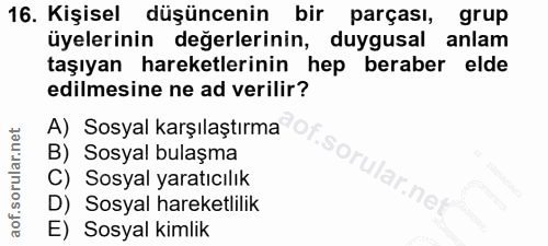 16. soru: Kişisel düşüncenin bir parçası, grup üyelerinin değerlerinin, duygusal anlam taşıyan hareketlerinin hep beraber elde…