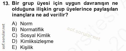 13. soru: Bir grup üyesi için uygun davranışın ne olduğuna ilişkin grup üyelerince paylaşılan inançlara ne ad verilir? A) Norm…