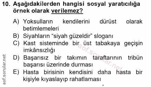 10. soru: Aşağıdakilerden hangisi sosyal yaratıcılığa örnek olarak verilemez? A) Yoksulların kendilerini dürüst olarak betimlem…
