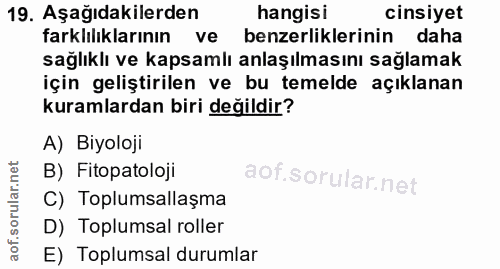 19. soru: Aşağıdakilerden hangisi cinsiyet farklılıklarının ve benzerliklerinin daha sağlıklı ve kapsamlı anlaşılmasını sağlama…