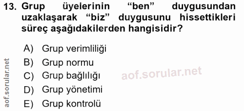 13. soru: Grup üyelerinin "ben" duygusundan uzaklaşarak "biz" duygusunu hissettikleri süreç aşağıdakilerden hangisidir? A) Grup…