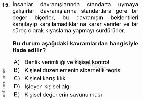 15. soru: Insanlar davranışlarında standarta uymaya çalışırlar, davranışlarına standartlara göre bir değer biçerler, bu davranı…